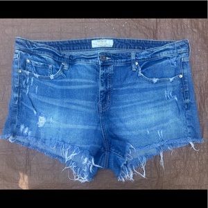 Torrid distressed jean short